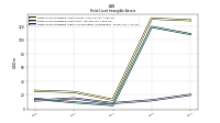 Finite Lived Intangible Assets Accumulated Amortization