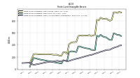 Finite Lived Intangible Assets Accumulated Amortization