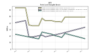 Finite Lived Intangible Assets Net