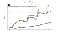 Finite Lived Intangible Assets Accumulated Amortization