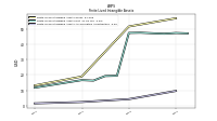 Finite Lived Intangible Assets Accumulated Amortization