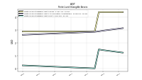 Finite Lived Intangible Assets Net