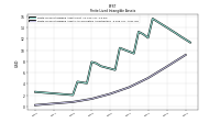 Finite Lived Intangible Assets Accumulated Amortization