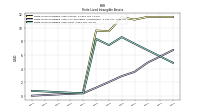 Finite Lived Intangible Assets Net