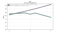 Finite Lived Intangible Assets Net