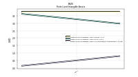 Finite Lived Intangible Assets Accumulated Amortization