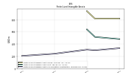 Finite Lived Intangible Assets Accumulated Amortization