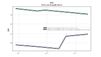 Finite Lived Intangible Assets Accumulated Amortization