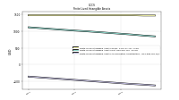 Finite Lived Intangible Assets Accumulated Amortization