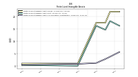 Finite Lived Intangible Assets Accumulated Amortization