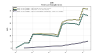 Finite Lived Intangible Assets Accumulated Amortization