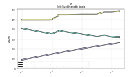 Finite Lived Intangible Assets Accumulated Amortization