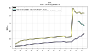 Finite Lived Intangible Assets Accumulated Amortization