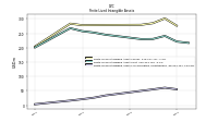 Finite Lived Intangible Assets Accumulated Amortization