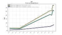 Finite Lived Intangible Assets Accumulated Amortization