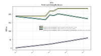 Finite Lived Intangible Assets Accumulated Amortization