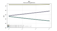 Finite Lived Intangible Assets Net