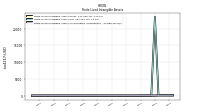 Finite Lived Intangible Assets Accumulated Amortization