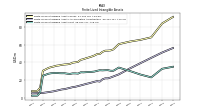 Finite Lived Intangible Assets Net