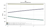 Finite Lived Intangible Assets Net