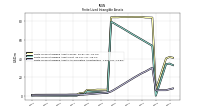 Finite Lived Intangible Assets Accumulated Amortization