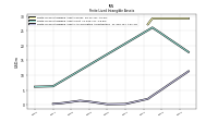 Finite Lived Intangible Assets Accumulated Amortization