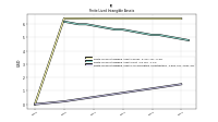 Finite Lived Intangible Assets Accumulated Amortization