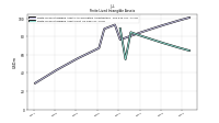 Finite Lived Intangible Assets Net