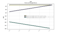 Finite Lived Intangible Assets Net