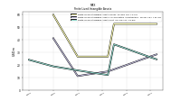 Finite Lived Intangible Assets Net