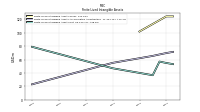 Finite Lived Intangible Assets Net