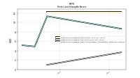 Finite Lived Intangible Assets Accumulated Amortization