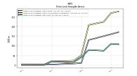 Finite Lived Intangible Assets Net