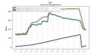 Finite Lived Intangible Assets Accumulated Amortization