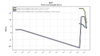 Finite Lived Intangible Assets Accumulated Amortization