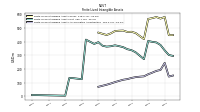 Finite Lived Intangible Assets Accumulated Amortization