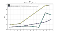 Finite Lived Intangible Assets Accumulated Amortization