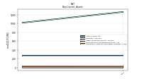 Intangible Assets Net Excluding Goodwill