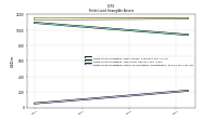 Finite Lived Intangible Assets Accumulated Amortization