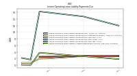 Lessee Operating Lease Liability Undiscounted Excess Amount