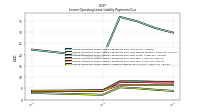 Lessee Operating Lease Liability Undiscounted Excess Amount