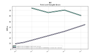 Finite Lived Intangible Assets Accumulated Amortization