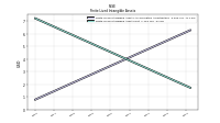 Finite Lived Intangible Assets Net