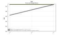 Finite Lived Intangible Assets Accumulated Amortization