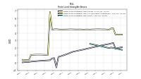 Finite Lived Intangible Assets Net