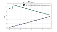 Finite Lived Intangible Assets Accumulated Amortization