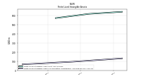 Finite Lived Intangible Assets Accumulated Amortization