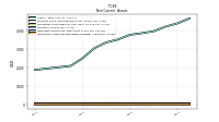 Intangible Assets Net Excluding Goodwill