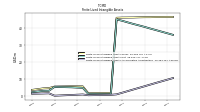 Finite Lived Intangible Assets Accumulated Amortization