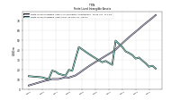 Finite Lived Intangible Assets Net